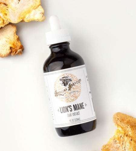 Lion's Mane Dual Extract Tincture by Hodgins Harvest