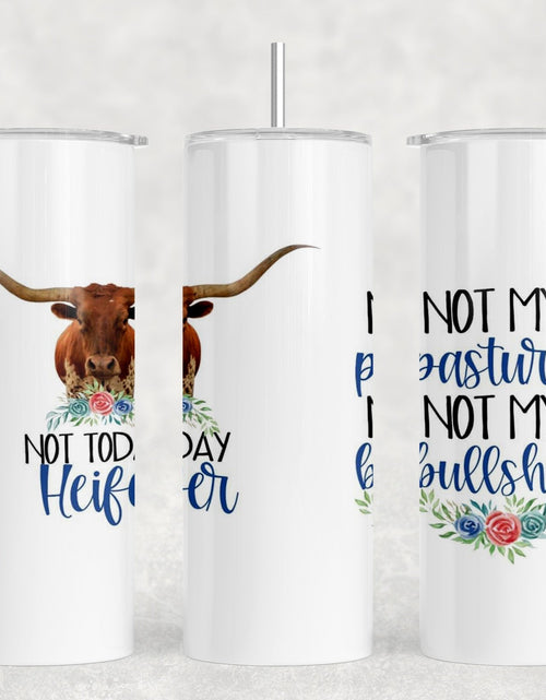 Load image into Gallery viewer, Not My Pasture Not My Bullshit - 20 oz Steel Skinny Tumbler - Optional Blue Tooth Speaker - Speaker Color will Vary by Rowdy Ridge Co
