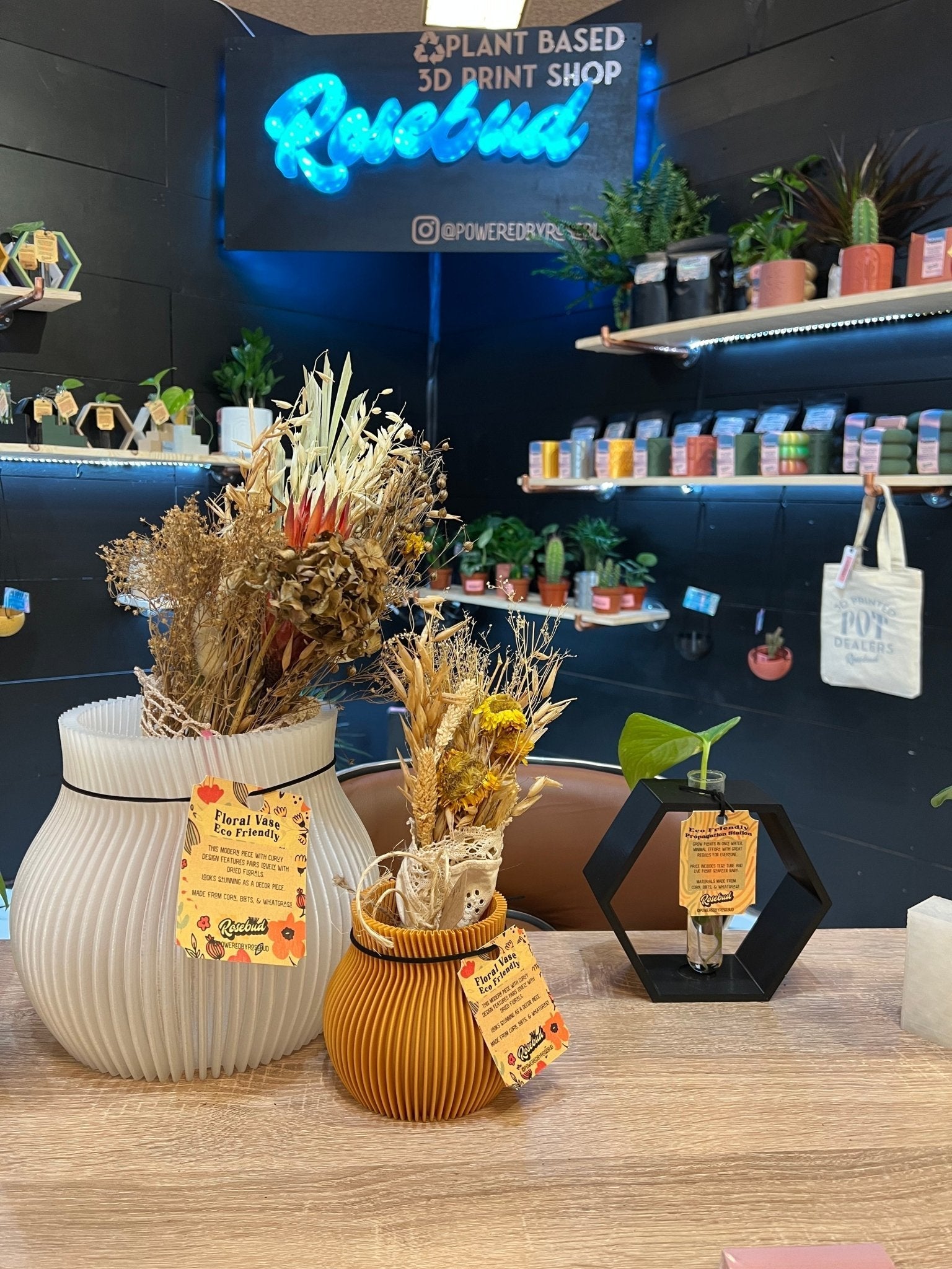 ONDA Dry Vase for Dried Flower Arrangement by Rosebud HomeGoods
