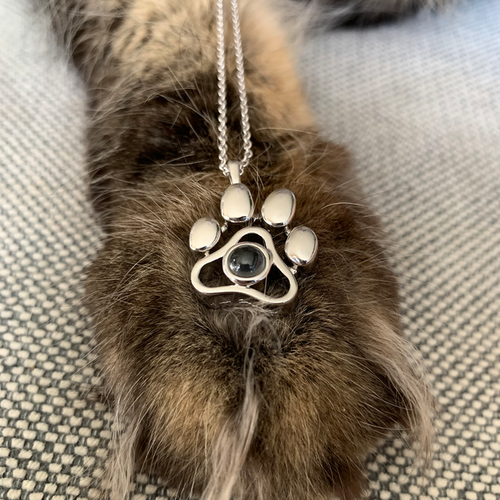 Load image into Gallery viewer, Custom Pet Photo Paw Necklace by PetWithMe
