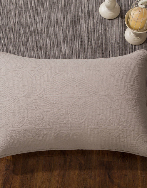 Load image into Gallery viewer, DaDa Bedding Taupe Beige Sand Dollar Floral Quilted Cotton Pillow Sham - 1-Piece  (JHW585) by DaDa Bedding Collection
