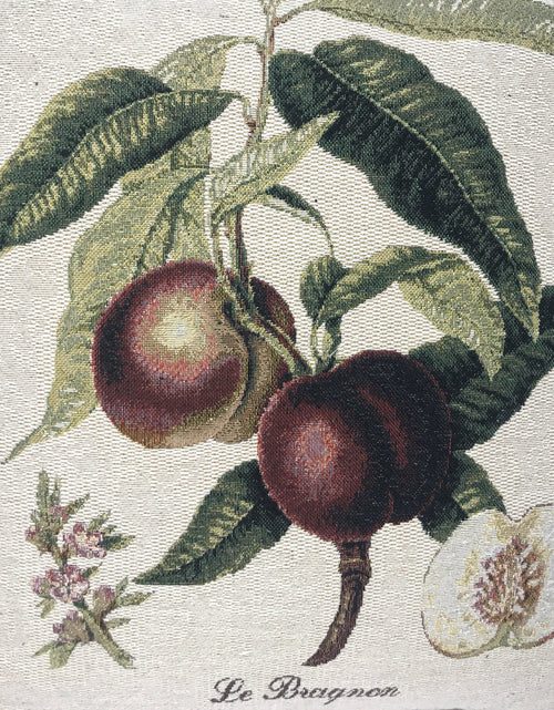 Load image into Gallery viewer, DaDa Bedding Set of 2-Pieces Nectarine Fruits Garden Tapestry Throw Pillow Covers w/ Inserts - 18" x 18" by DaDa Bedding Collection

