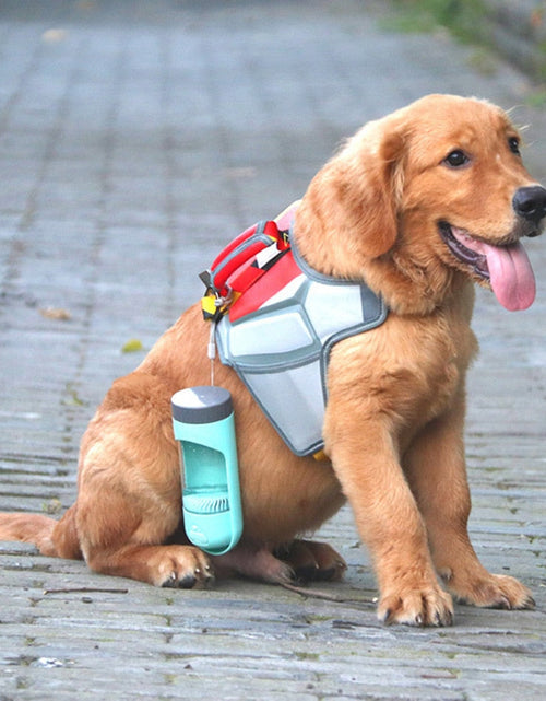 Load image into Gallery viewer, Portable Water Bottle for Dogs / Pets by Dach Everywhere

