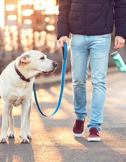 Load image into Gallery viewer, Portable Water Bottle for Dogs / Pets by Dach Everywhere
