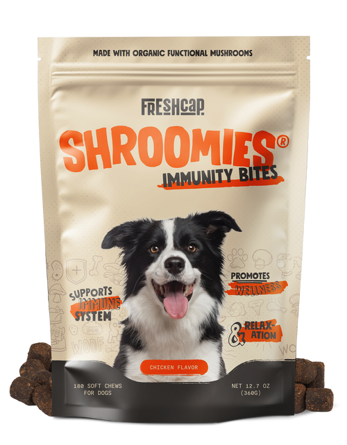 Load image into Gallery viewer, Organic Mushroom Complex for Dogs
