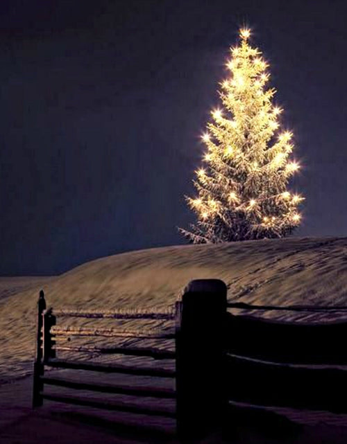 Load image into Gallery viewer, Silent Night by Wicked Good Perfume

