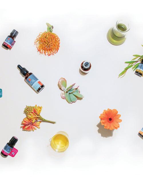 Load image into Gallery viewer, Organic Apricot Kernel Oil (Prunus Armeniaca)  30ml by SOiL Organic Aromatherapy and Skincare
