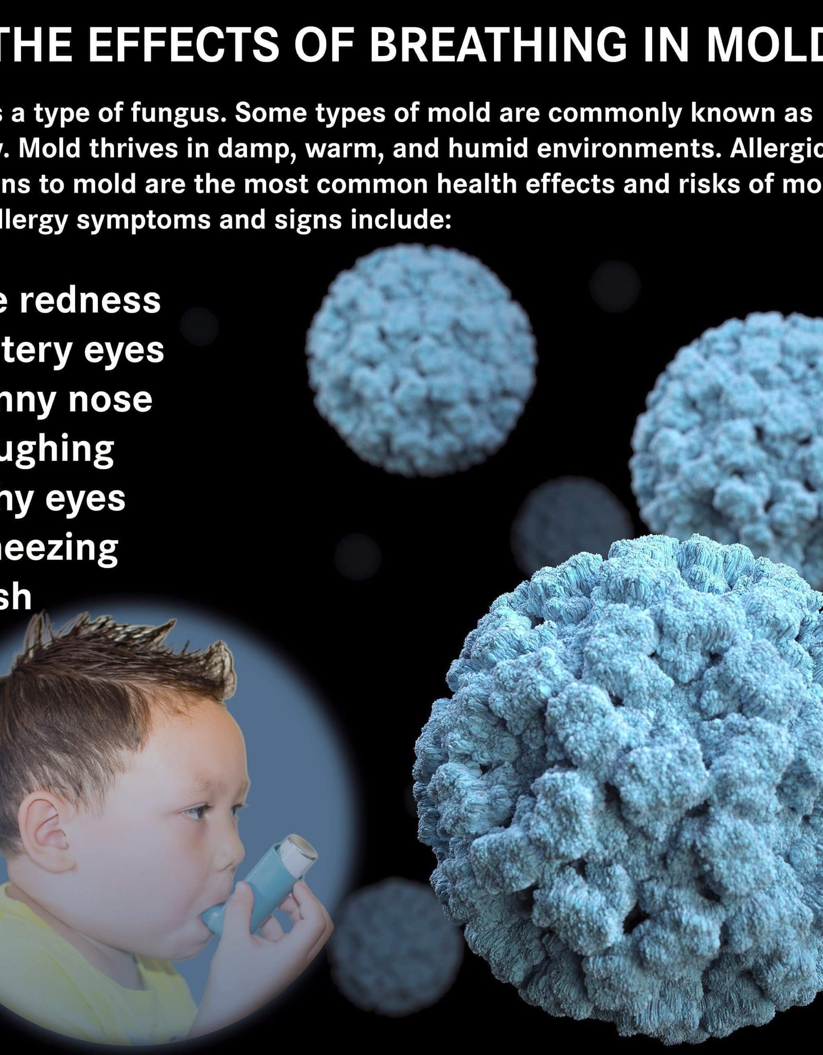DWD2 Clean Air® Foaming Coil Cleaner Home & Commercial self-rinsing by The DWD2 System, Inc.