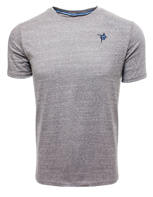 Load image into Gallery viewer, Oasis SS Tee
