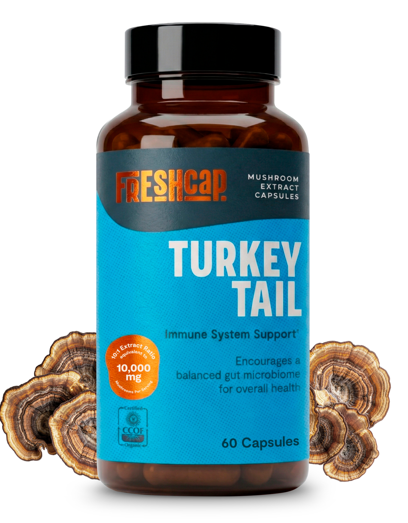 Organic Turkey Tail Mushroom Capsules