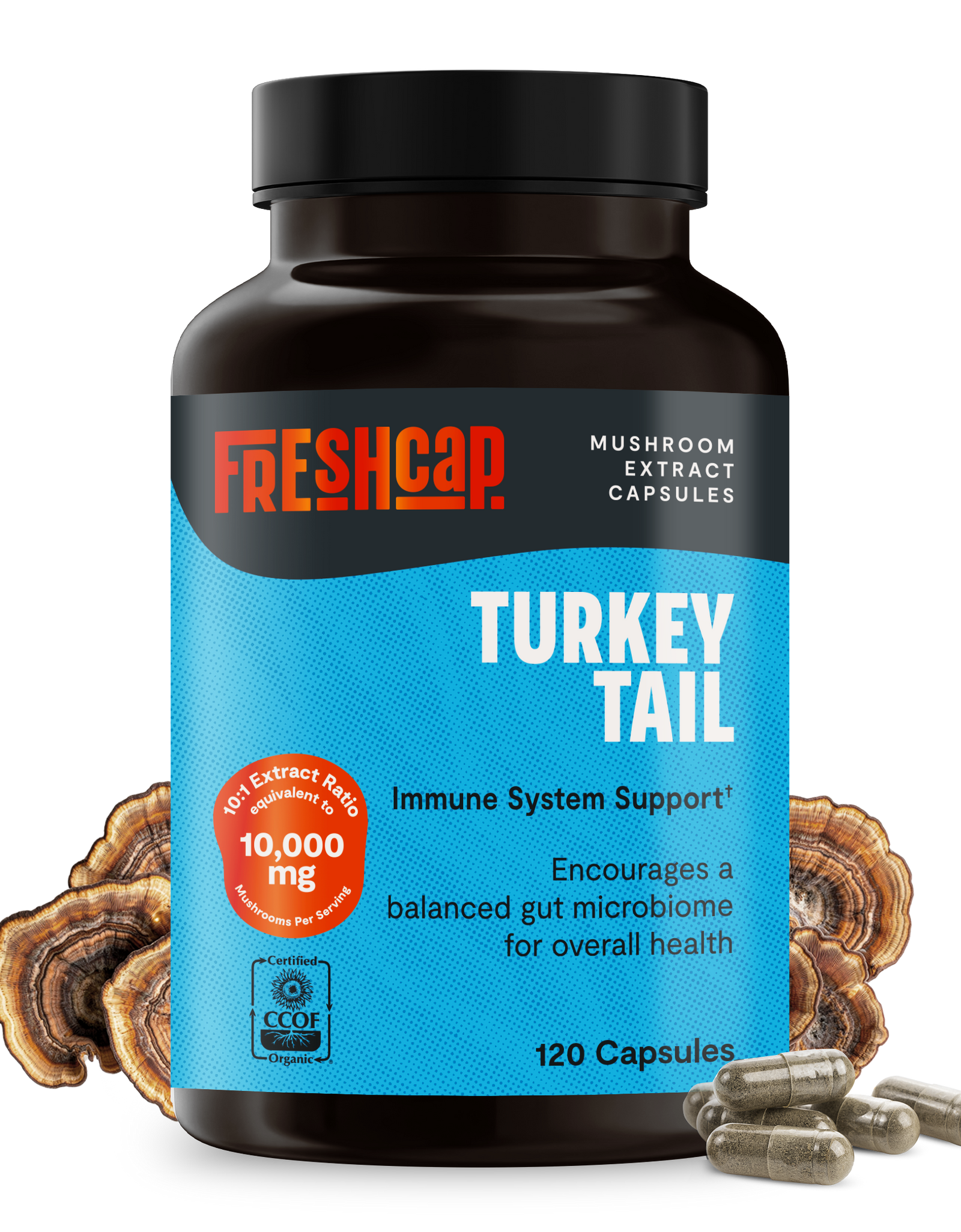 Organic Turkey Tail Mushroom Capsules
