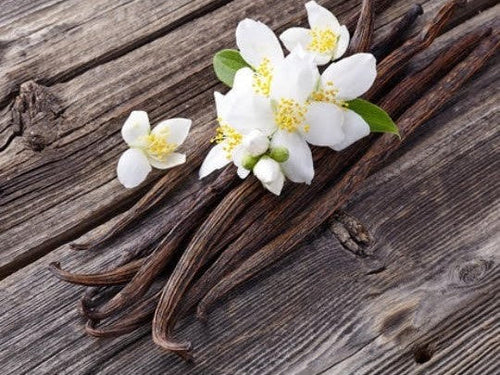 Load image into Gallery viewer, Vanilla Bean Infused Honey
