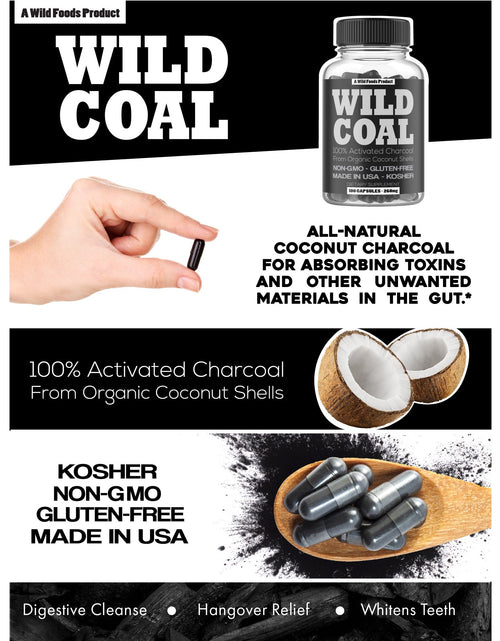 Load image into Gallery viewer, Activated Charcoal Capsules, 120ct Case of 12 by Wild Foods
